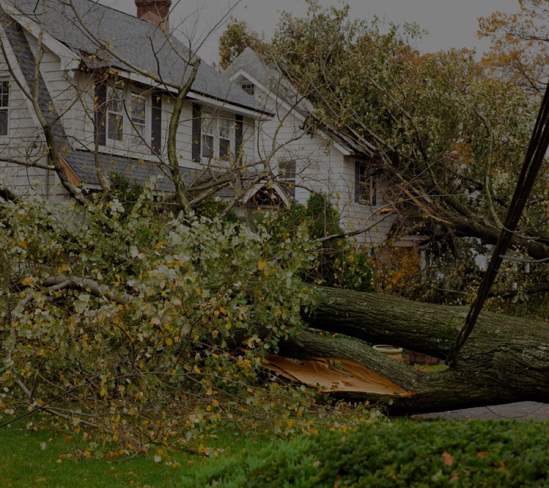 Storm damage in Oakland County Michigan, fallen tree on a two-story home after severe winds